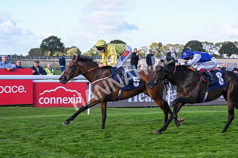 230925-Race 6-Kiss Me My Love-2000 - Race 6