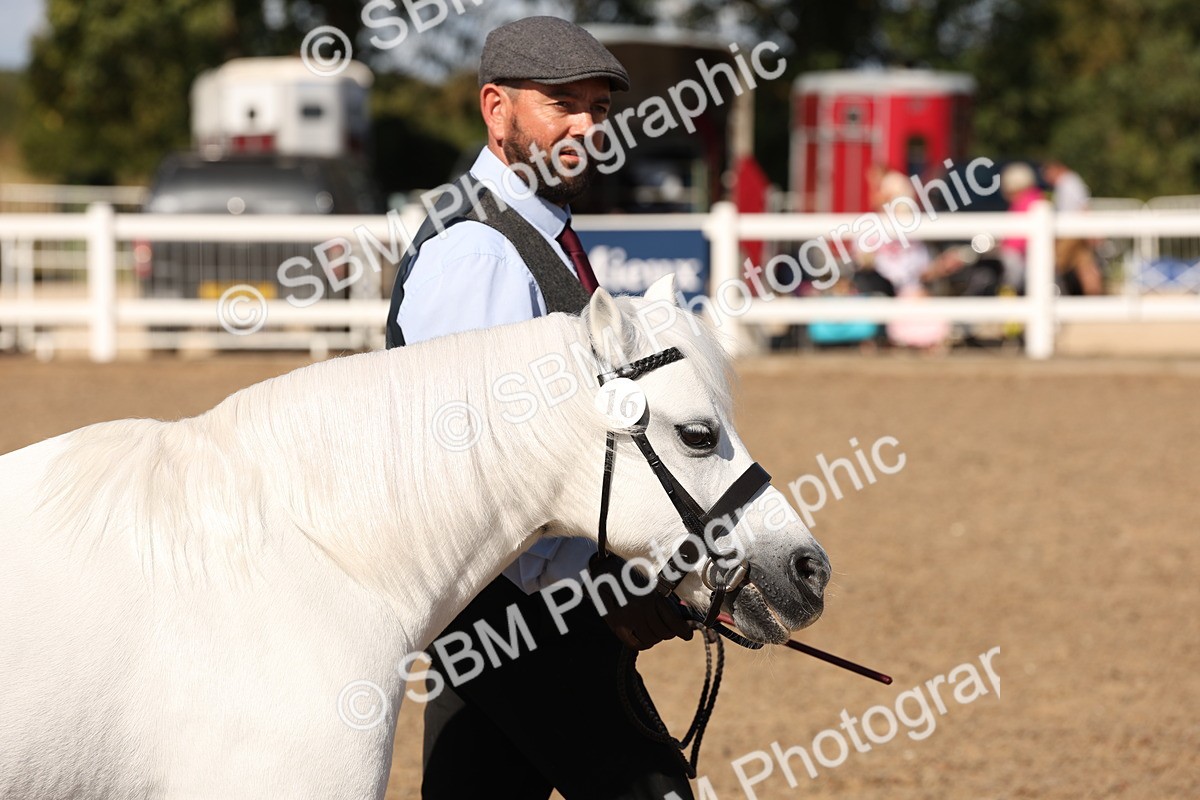SBM_13857 - Class 205 - IH Show Pony - Show Hunter Pony