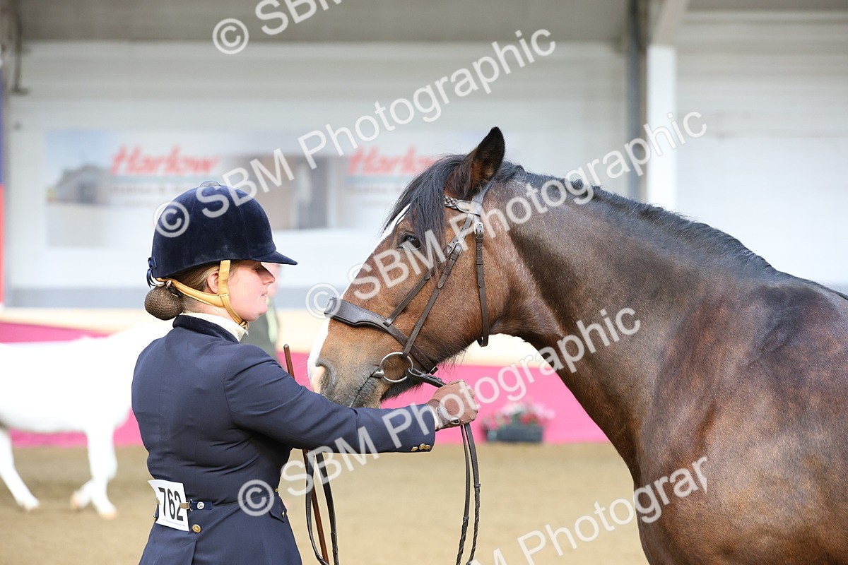 SBM_21863 - Class 901 - Supreme Final - IH  Diamond