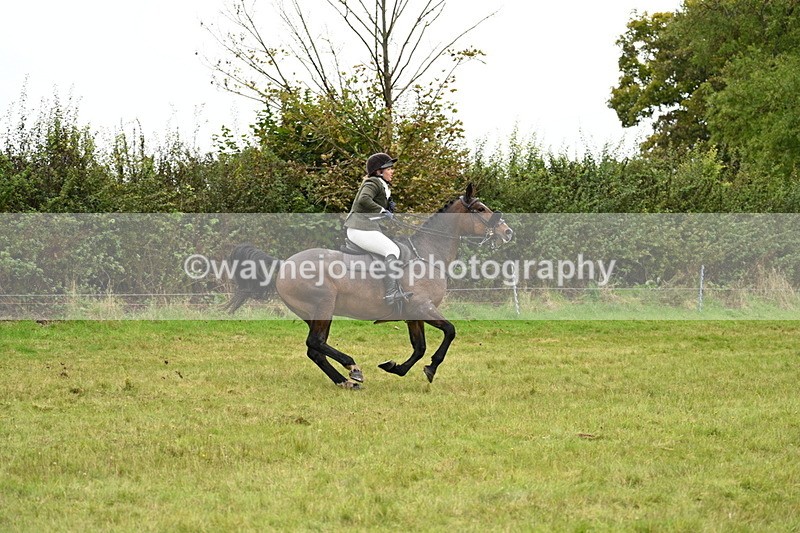 WJ7_4278 - Camera 1 Line 2