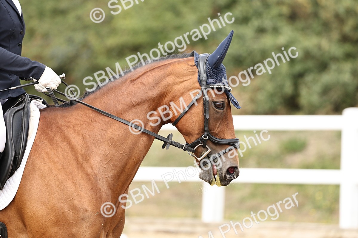SBM_013209 - Class 3 - Novice 4 - 11.43-12.25