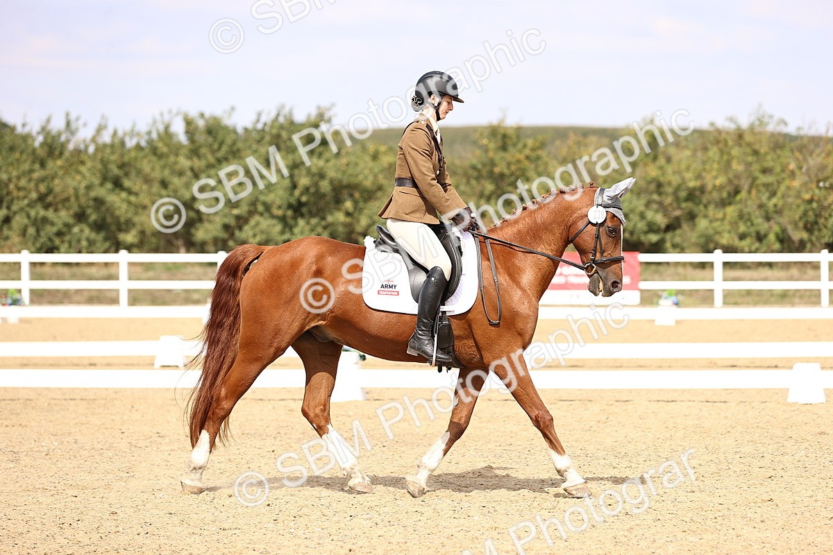 SBM_014968 - Class 6 - Elementary 5