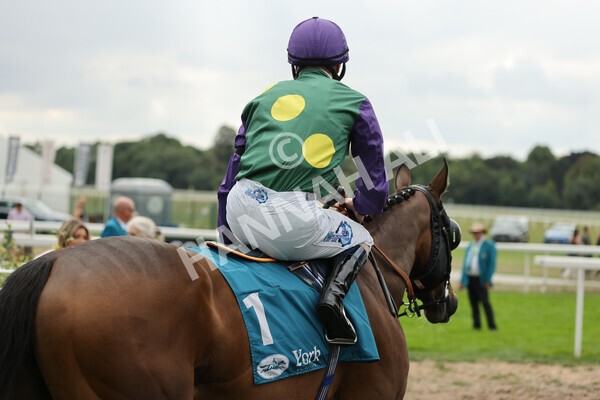 yr04092022r5-5 - Race 5 4.05pm Little Green Rascals Children's Nurseries Stakes