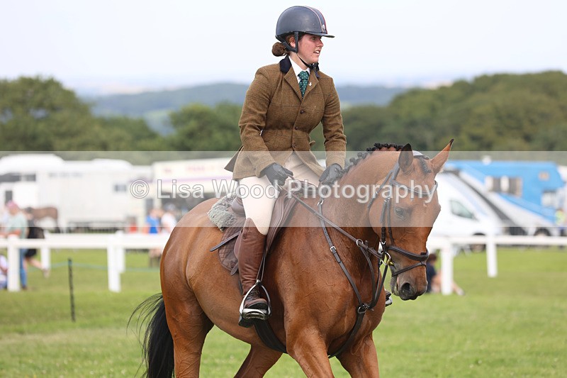 JPP_4118 - Class 24: Working Hunter 90cm