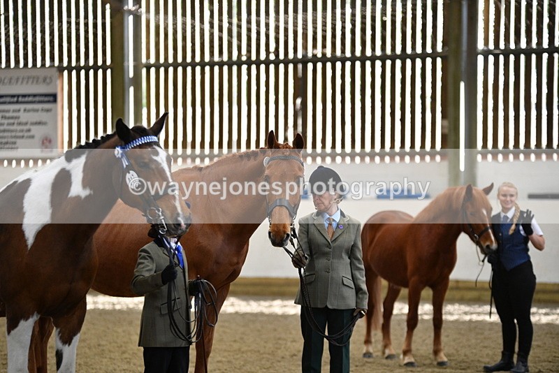 WJ5_4084 - Class 2 Best Condition In hand