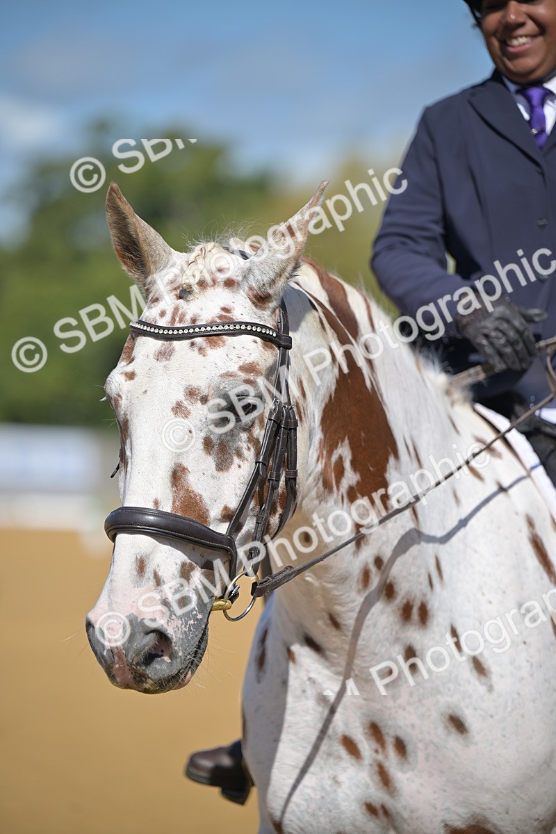 SBM_07911 - D8 - Small Tour Championship Prelim 1