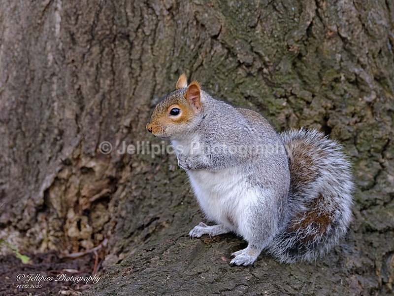  - Wildlife and Nature