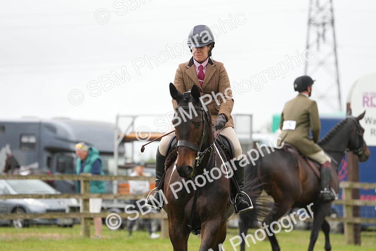 SBM_12549 - Class 97-98 - LIHS BSHA Rising Star Working Show Horse Hunter