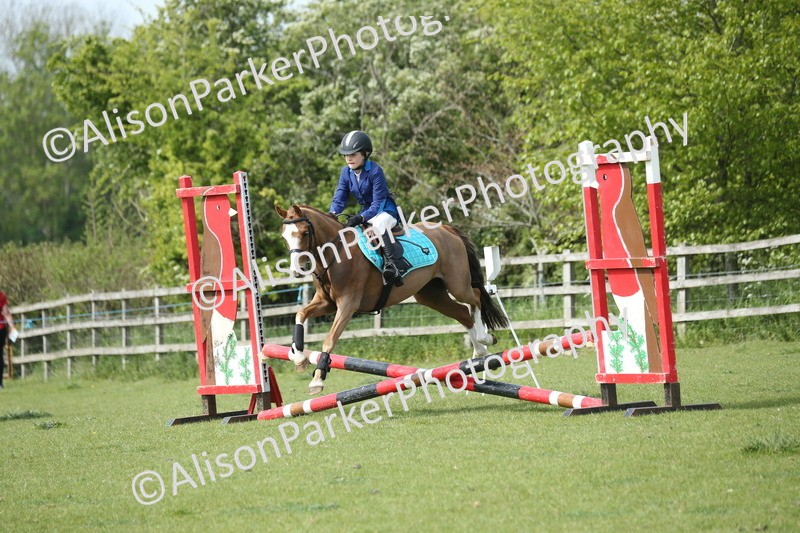 20260426-1687 - Class 14 - Novice 60cm