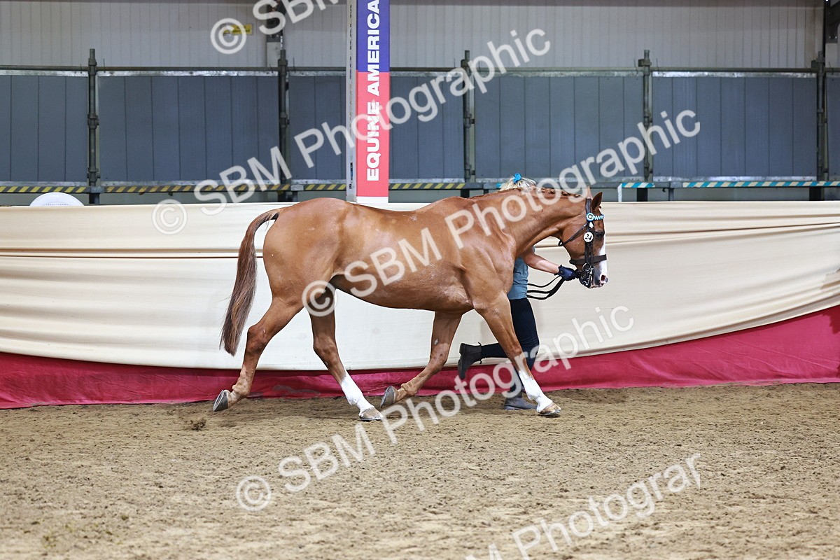 SBM_22256 - Class 902 - Supreme Final - IH Diamond