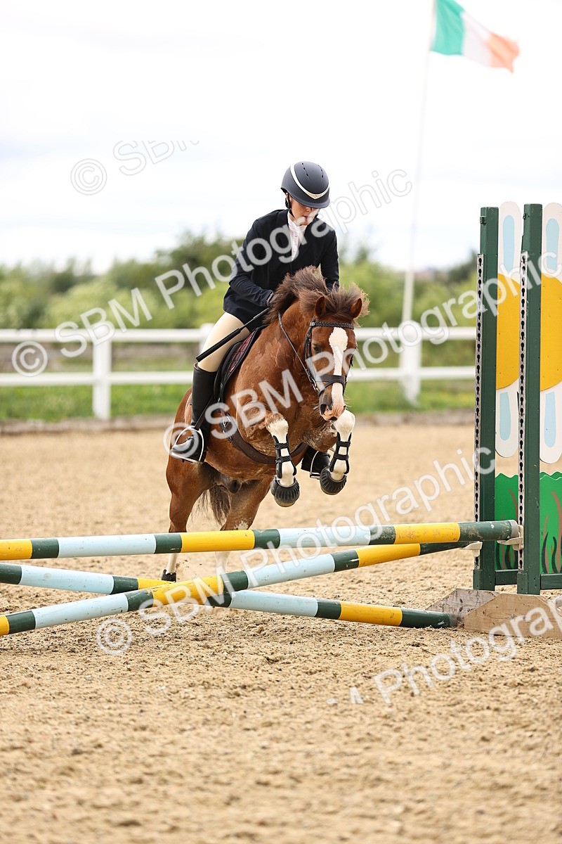 SBM_000568 - 60cm