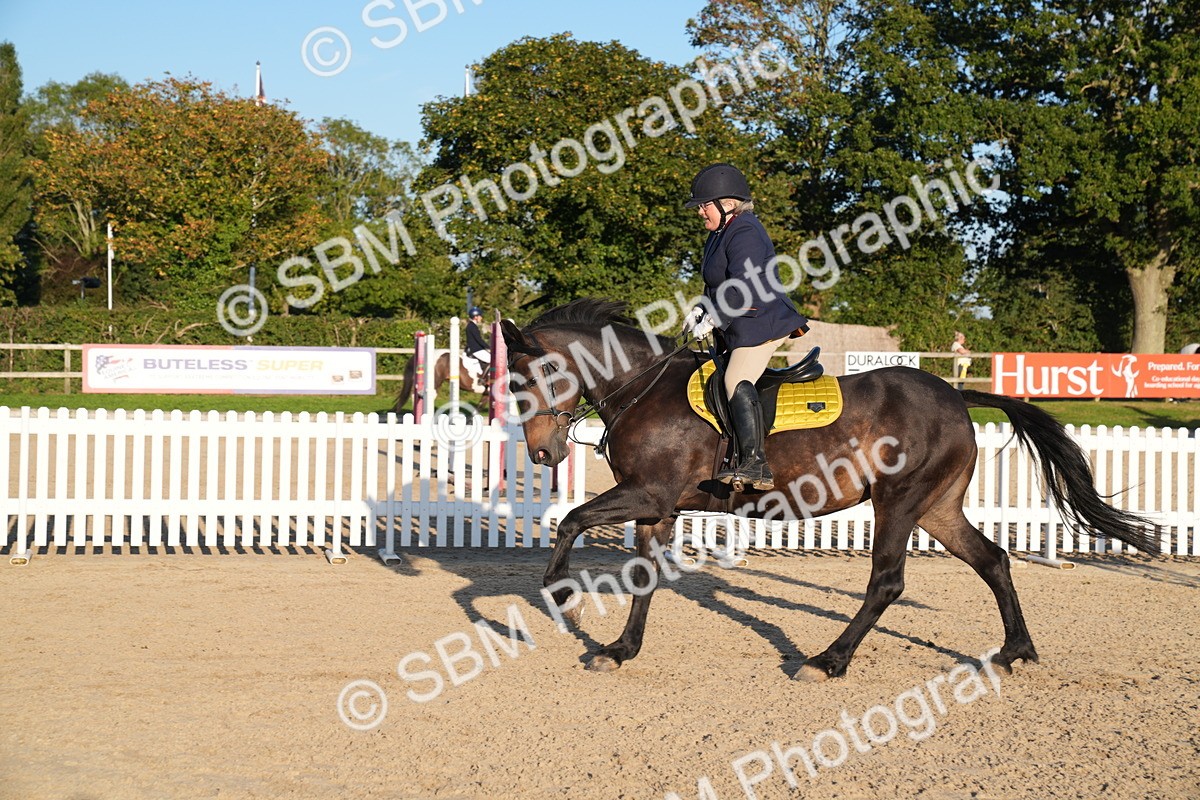 SBM_30093 - J44 - Super Speedy Scurry Open - 70cm