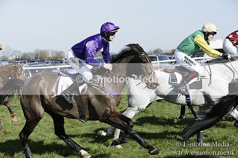 PtP 260317 249 - Mendip Farmers Point-to-Point Ston Easton 26/03/17