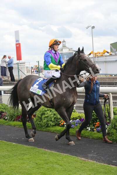 yr11062022r8-6 - Race 8 5.25pm Clean up with PPS Stakes