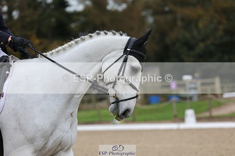 241024-134746-03713 - 157-Georgia.Stephens-GORSEHILL.JACK