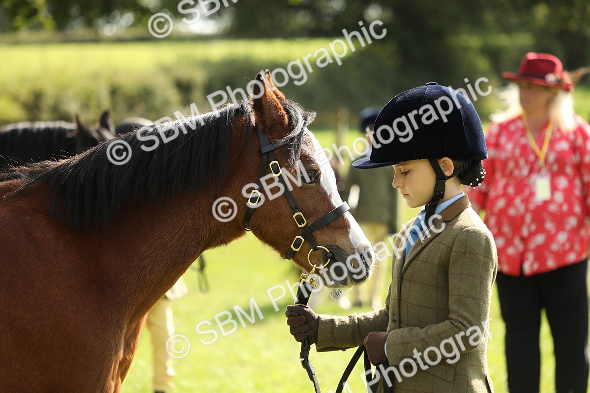 SBM_67774 - S39 - Junior Handler 8  Years & Under