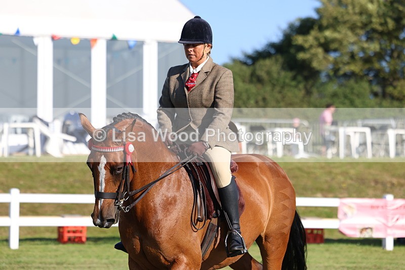 3E7A5042 - Class 1: Rising Star Small Hack/Riding Horses