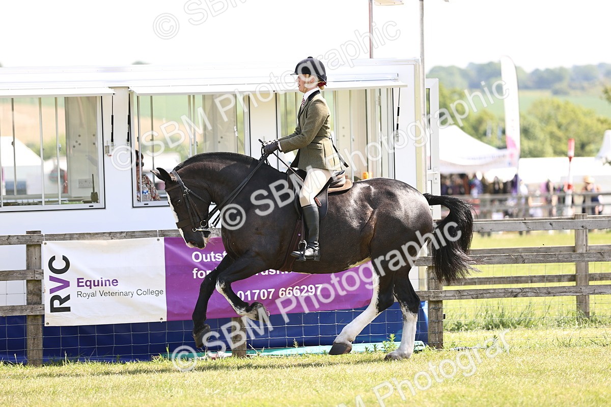 SBM_13733 - Class 77 - LIHS BSHA Rising Star Cobs