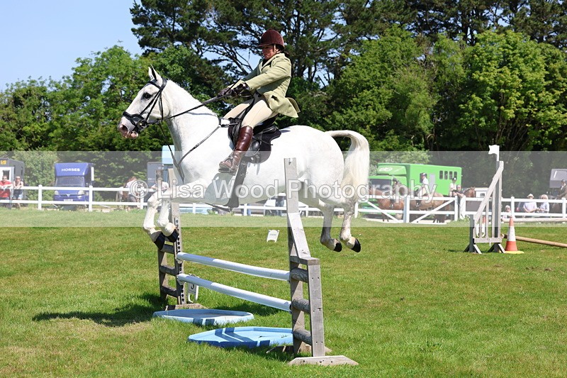 3E7A6906 - Class 30: Novice Working Hunter