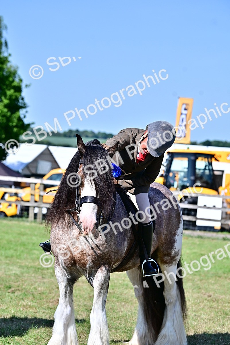 SBM_19464 - Class 101-102 - BSPS LIHS Performance Coloured Horse/Pony