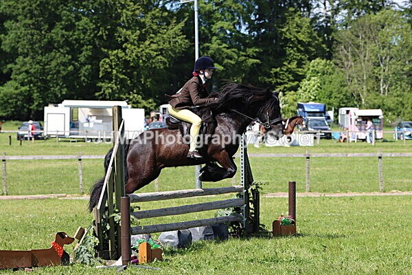 IMG_4313 - Working Hunter