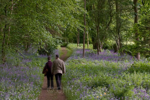  - Dabton Gardens