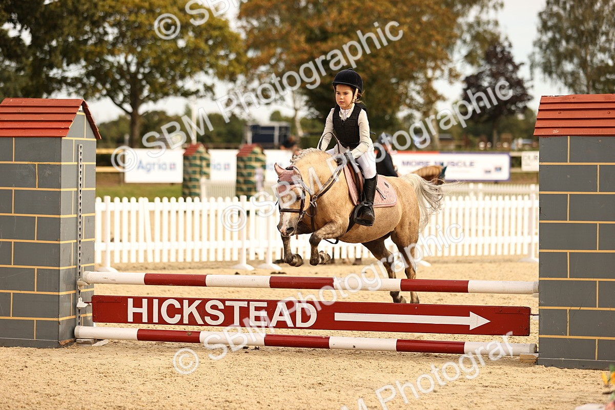 SBM_70825 - J13 - Junior Pony 60cm Championship