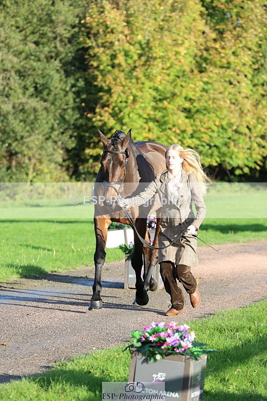 251026A-093529-22352 - D-357-Fenella.Redvers