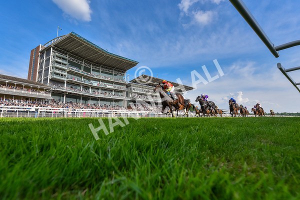 170524-Race 7-Jubilee Walk-6400 - Race 7 5.20pm Irish Thoroughbred Marketing Handicap