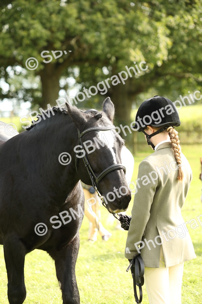 SBM_68664 - S40 - Junior Handler 9-12 Years