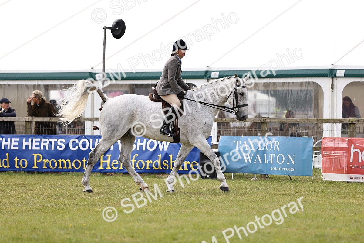 SBM_14692 - Class 88-89 - LIHS BSHA Rising Star of Ridden Hunter Type
