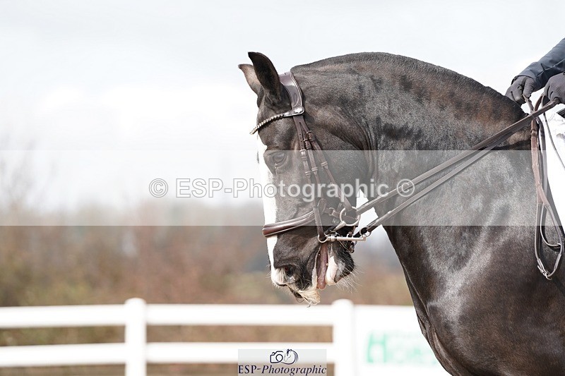 250322-112136-00244 - DR Elementary 1 Test