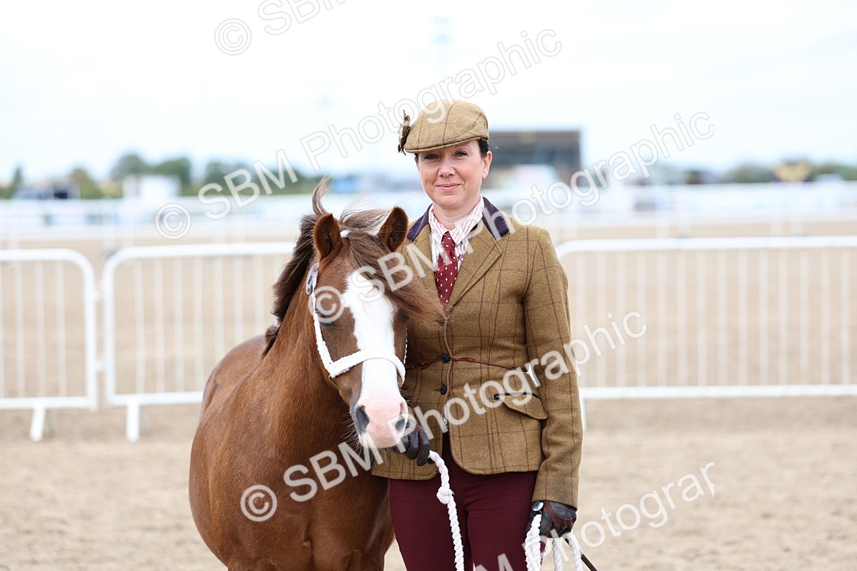 SBM_05927 - Class 29 - IH Veteran Pony