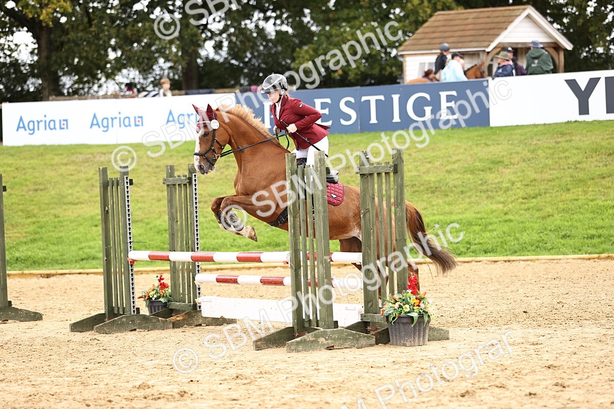 SBM_41094 - J40 Senior Horse & Pony 90cm Supreme Championship