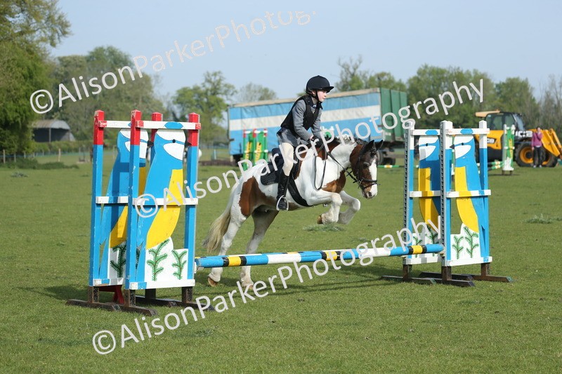 20260426-0183 - Class 13 - Rookie Jumping 50cm