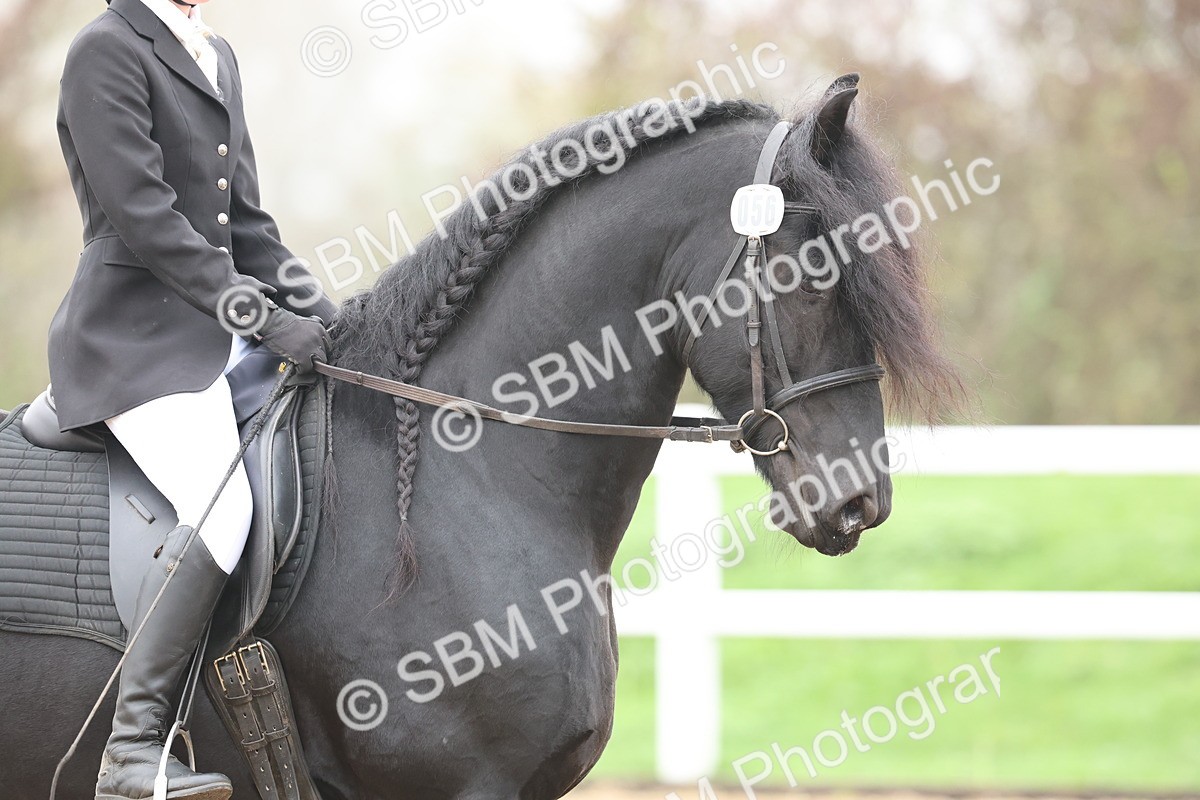 SBM_002545 - Class 5 - Novice 27