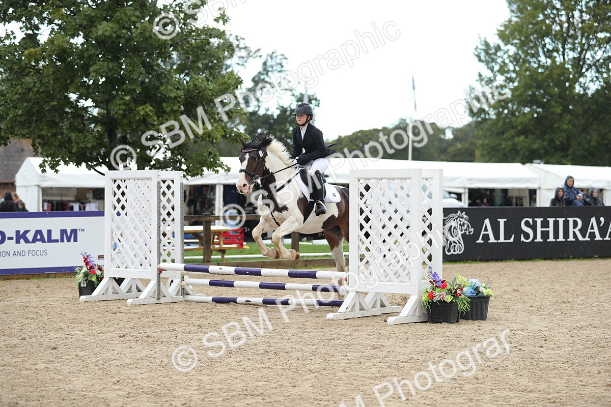 SBM_37209 - J20 - Junior Horse 50cm Championship