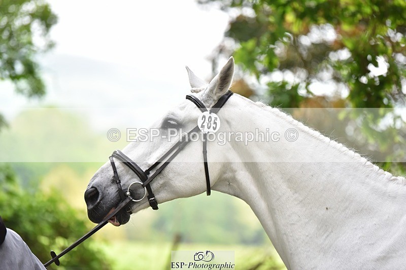 240522-172434-01586 - 285-CHF_BALLYTURN_BRILLIANT-Pascal_Van_moort