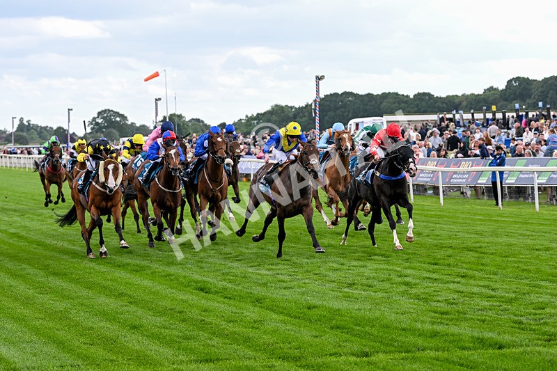 130626-Race 6-Point Of Contact-2098 - Race 6 16.50pm Ice Co Supporting Macmillan Handicap