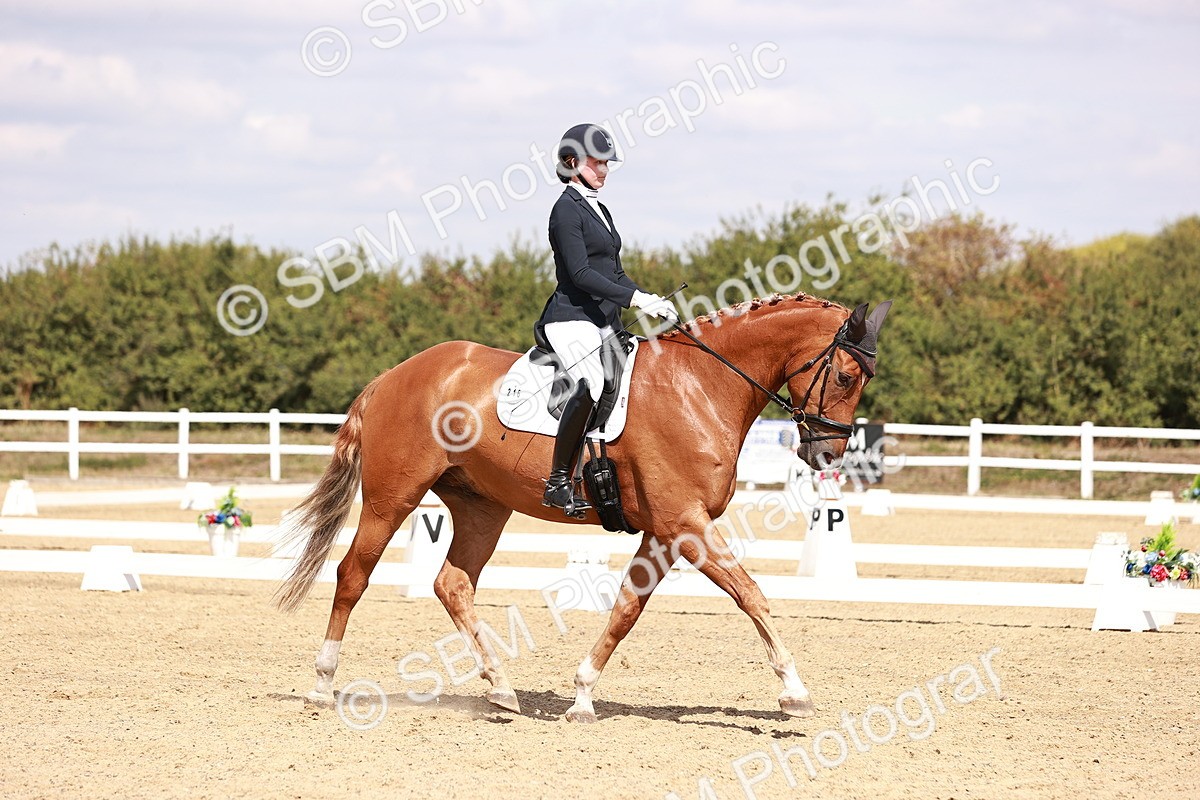 SBM_018459 - Class 17 - Novice 6