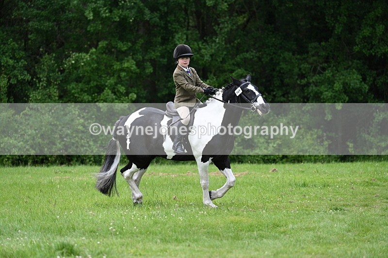 WJ7_2389 - Class 12A Coloured Class