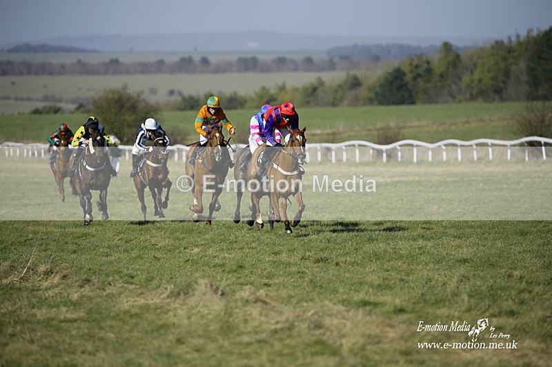 PtP 270222 79 - South & West Wilts Point-to-Point Larkhill 27/02/22