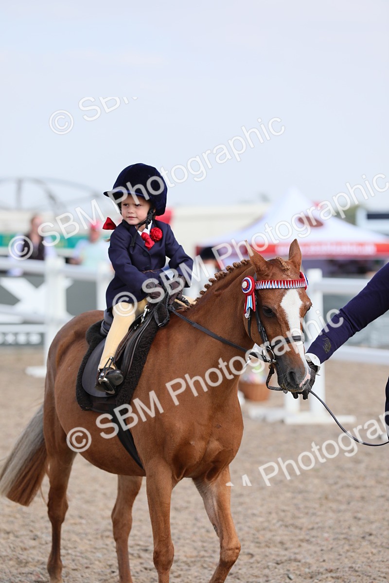 SBM_14014 - Class 309 Lead Rein Pony