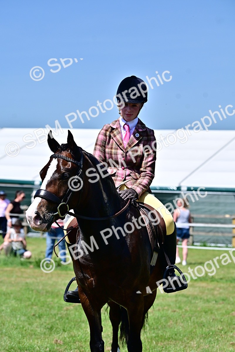 SBM_15311 - Class 95-97 - BSPS LHS Performance Ponies