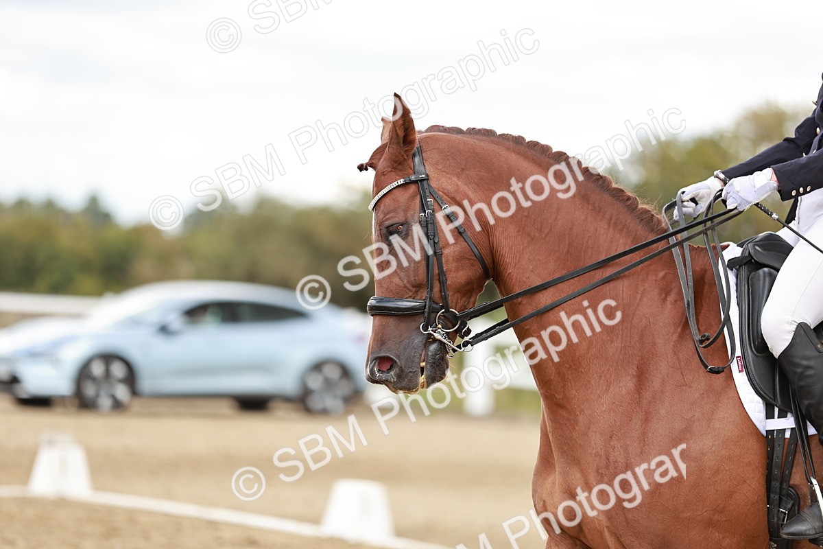 SBM_005582 - Class 5 - FEI PSG - 13.54.14.58