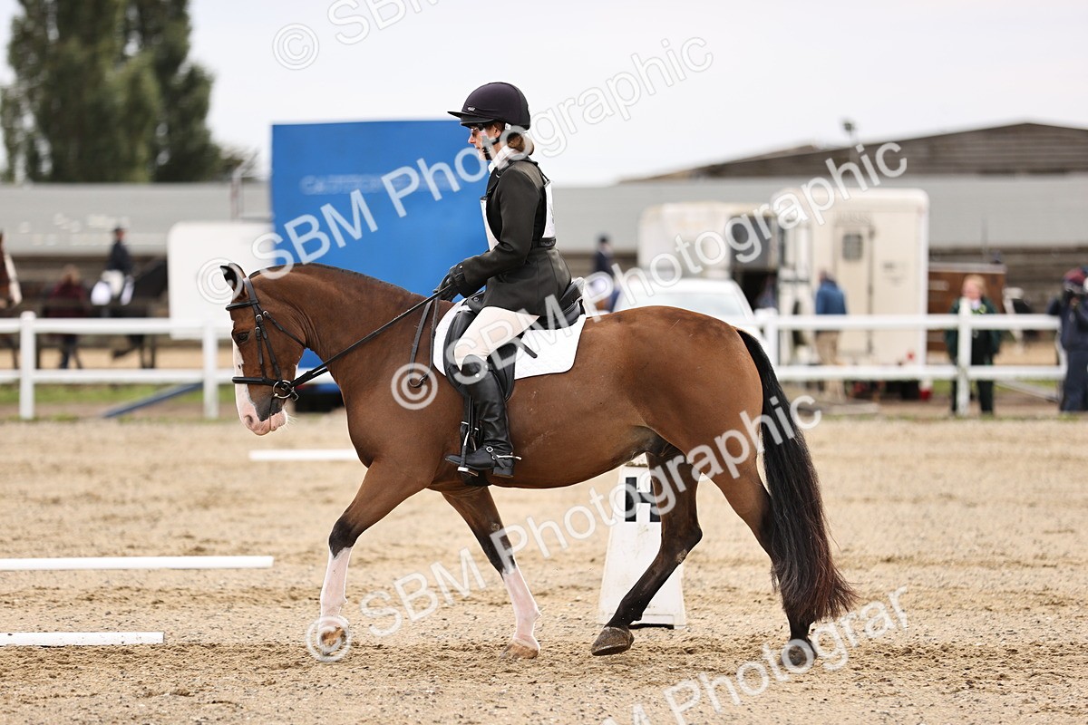 SBM_001197 - Prelim 3