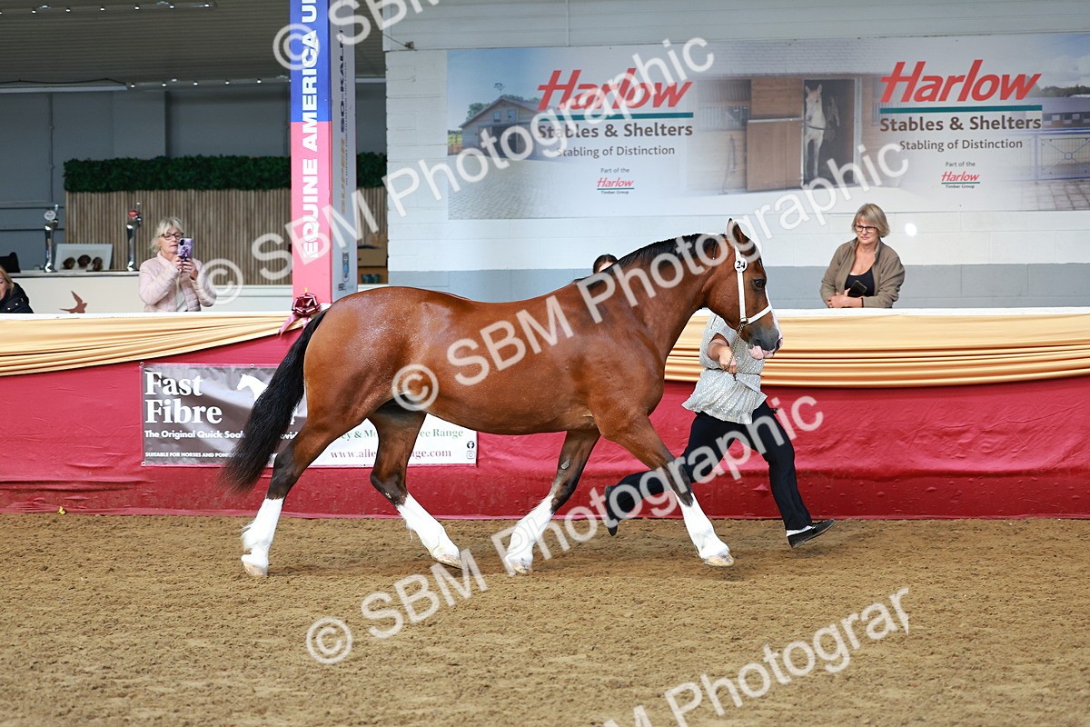 SBM_17288