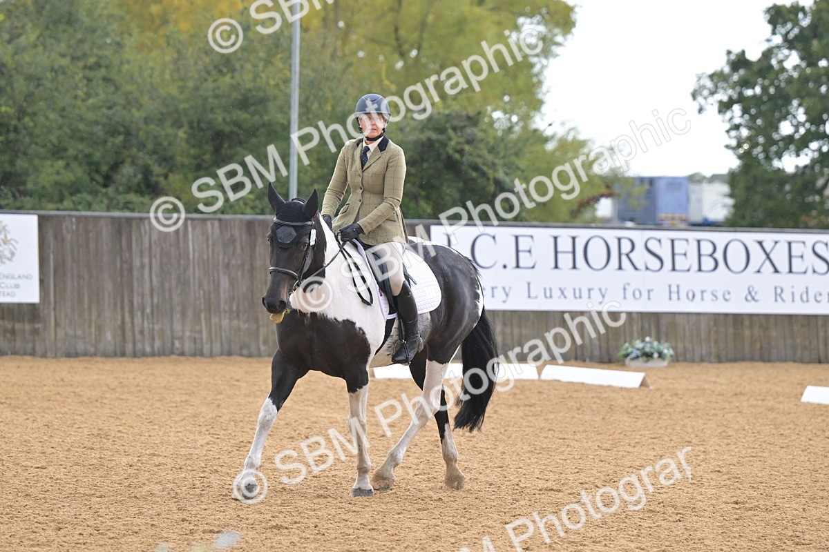 SBM_02252 - D2 - Small Tour Championship Intro 2