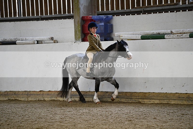 WJ5_6517 - Class 10 Childs Pony