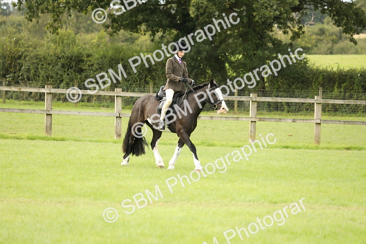 SBM_71581 - S41 - Ridden Equitation (Best Rider)